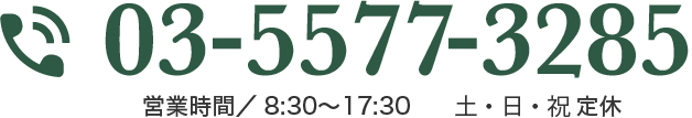 03-5577-3285